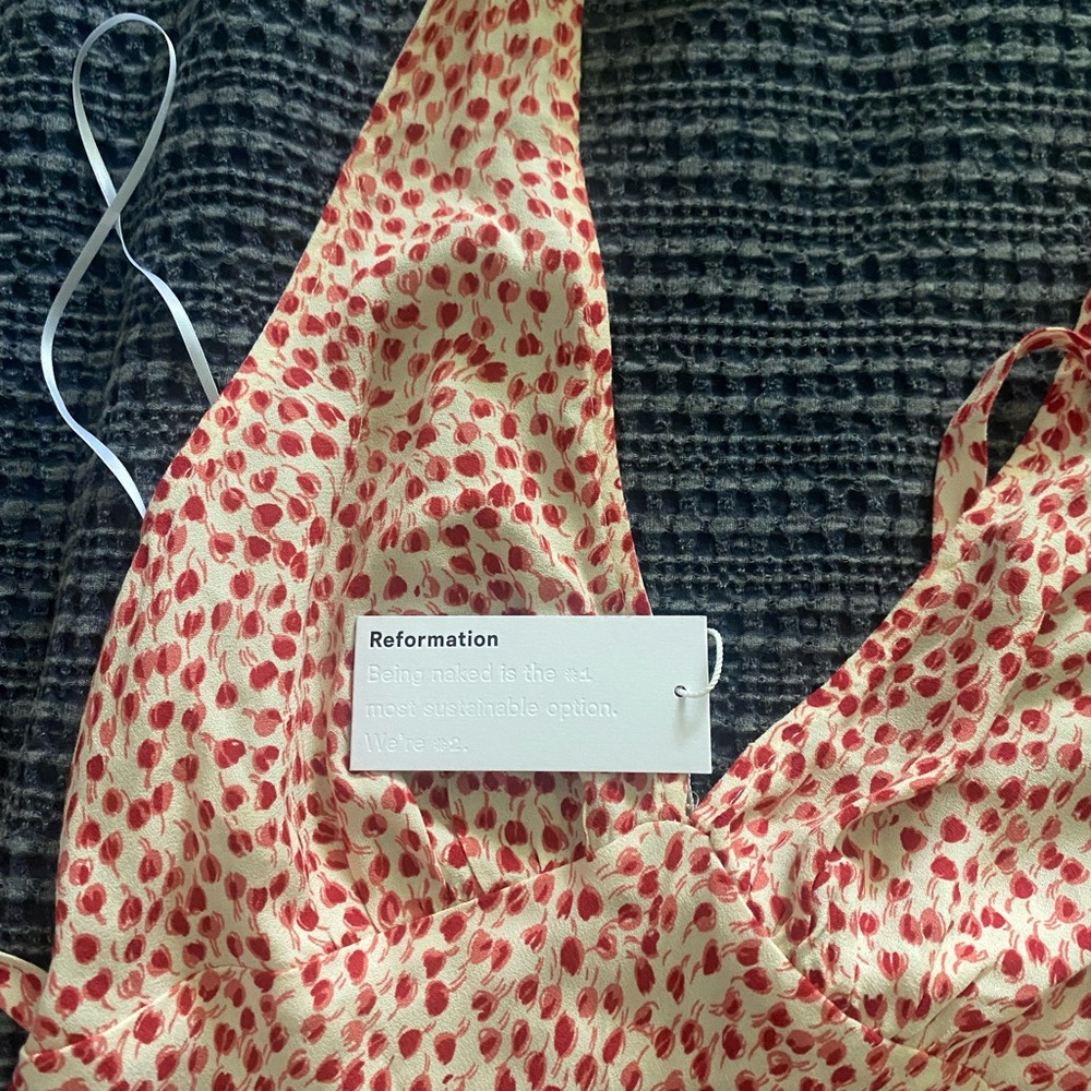 Reformation Delanie Dress